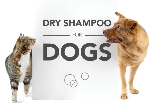 Dog Dry Shampoo