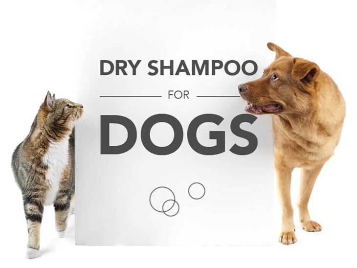 Dog Dry Shampoo