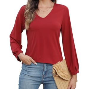 Womens Dressy Tops V Neck Floral Long Sleeve Shirts Loose Puff Sleeve Work Blouses…