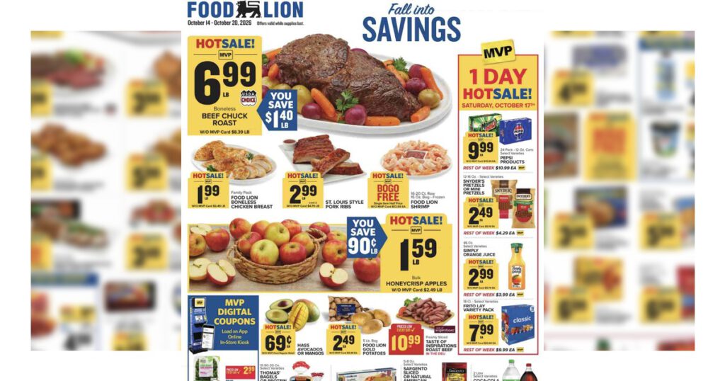 Food Lion weekly ad
